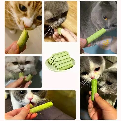 Cat Grass Teething Stick for Cat, Natural Freeze Dried Cat Grass Sticks for Indoor Cats, Chicken Flavored Cat Grass Treats for Teeth Cleaning and Hairball Remedy in Saudi Arabia