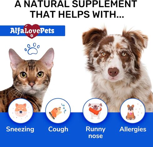 Dog and Cat Cough ✿ Kennel Cough ✿ Cat and Dog Cough Supplement ✿ Cough Drops for Dogs and Cats ✿ Natural Composition ✿ 1 Oz in Saudi Arabia