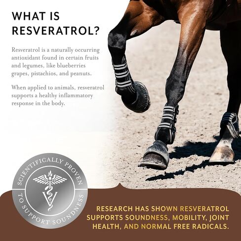 Equithrive Original Joint Supplement Pellets with Resveratrol and Hyaluronic Acid for Horses in Training and Competition and Senior Horses, 1.65 lbs in Saudi Arabia