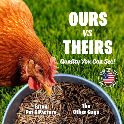EATON PET AND PASTURE Premium Grubs, USA Grown Dried Black Soldier Fly Larvae, High Calcium Treat for Chickens, Ducks, Wild Birds (5 LB) in Saudi Arabia