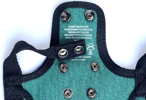 DOWN UNDER OUTDOORS 2 Pack Small Chicken Saddles for Bantams and Young Birds, includes Shoulder Covers (Teal) in Saudi Arabia