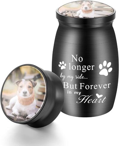 XIUDA 1.57 بوصة الجرار الصغيرة التذكارية للحيوانات الأليفة لرماد الكلاب والقطط، جرة حرق الجثث من الفولاذ المقاوم للصدأ، جرة تذكارية مطبوعة بمخالب الحيوانات الأليفة للرماد - لم يعد بجانبي إلى الأبد في قلبي in Kuwait
