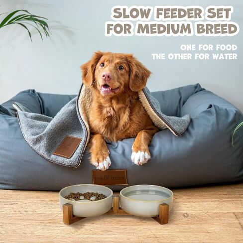 Dog Slow Feeder Ceramic Bowls Set with Stand, Cute Paw Slow Feeding Food Bowl and Water Bowl for Medium Breed, Ceramics Dog Dishes,Non Slip, Brithday Gifts, Grey in Saudi Arabia