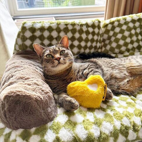 لعبة للكلاب، لعبة على شكل قلب من القطيفة للكلاب والقطط مع أداة صرير ناعمة، ممتعة للجراء والقطط في الأماكن المغلقة، لعبة للحيوانات الأليفة للسلالات الصغيرة والمتوسطة والكبيرة، أصفر in Kuwait