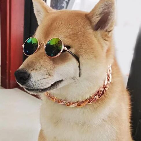 Cat and Dog Sunglasses Gold Chain Two-Piece Set, Pet Sunglasses, Retro Classic Pet Glasses, Adjustable Pet Chain, Photo Prop, for Kittens and Puppy (Black) in Saudi Arabia