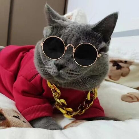 Cat and Dog Sunglasses Gold Chain Two-Piece Set, Pet Sunglasses, Retro Classic Pet Glasses, Adjustable Pet Chain, Photo Prop, for Kittens and Puppy (Black) in Saudi Arabia