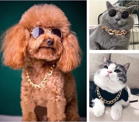 Cat and Dog Sunglasses Gold Chain Two-Piece Set, Pet Sunglasses, Retro Classic Pet Glasses, Adjustable Pet Chain, Photo Prop, for Kittens and Puppy (Black) in Saudi Arabia