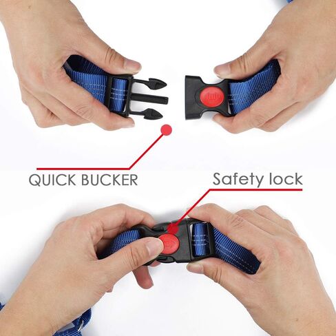 Hands Free Dog Leash, Retractable Dual Handle Bungee Leash, Adjustable Waist Dog Running Belt for Running, Walking, Training, Hiking, Traveling（Blue/Red） in Saudi Arabia