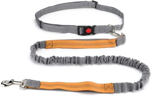 مقود للكلاب بدون استخدام اليدين، مقود بنجي بمقبض مزدوج قابل للسحب، حزام جري للكلاب قابل للتعديل للجري والمشي والتدريب والمشي لمسافات طويلة والسفر (أزرق/أحمر) in Kuwait