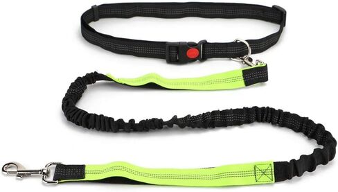 Hands Free Dog Leash, Retractable Dual Handle Bungee Leash, Adjustable Waist Dog Running Belt for Running, Walking, Training, Hiking, Traveling（Blue/Red） in Saudi Arabia