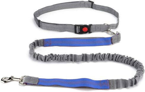 Hands Free Dog Leash, Retractable Dual Handle Bungee Leash, Adjustable Waist Dog Running Belt for Running, Walking, Training, Hiking, Traveling（Blue/Red） in Saudi Arabia