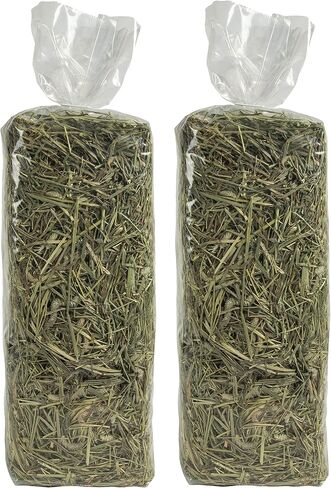 Kaytee Field+Forest Timothy+Orchard Grass Hay 40 Ounces in Saudi Arabia
