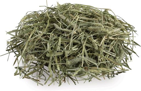 Kaytee Field+Forest Timothy+Orchard Grass Hay 40 Ounces in Saudi Arabia