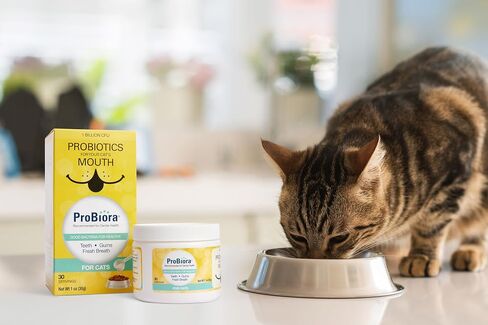 Probiora for Cats | Oral Care Probiotic Supplement | Pet Probiotics to Reduce Bad Breath | Cat Nutritional Supplement for Dental Health | 30 Servings (Jar) (30 Serving (Pack of 1), Jar) in Saudi Arabia