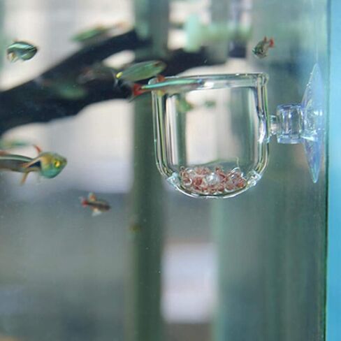 Aquarium Red Worm Fish Feeder Transparent Suction Cup Fish Feeding Cup Food Container for Feeding Shrimp Fish(Glass Hole Cup) in Saudi Arabia