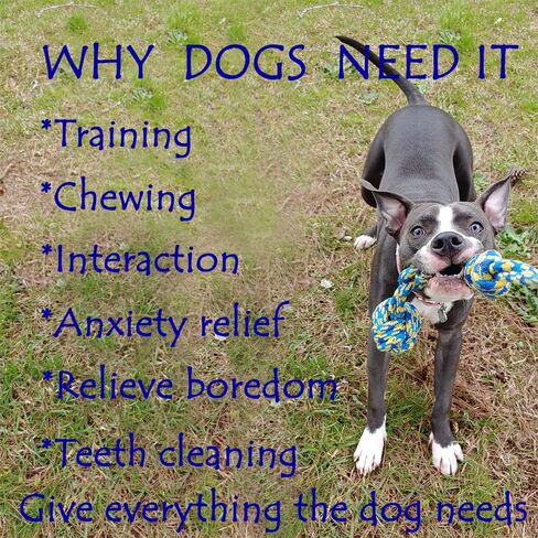 MQUMD Dog Rope Toy, Indestructible Cotton Ropes Dog Toy, Dental Cleaning and Teeth Care Dog Toy, Heavy Duty Dog Chew Toy, Interactive Tug of War Pet Toy for Large/Medium Aggressive Chewers Dog in Saudi Arabia