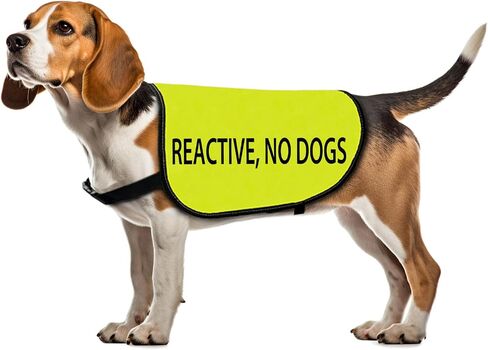 Reactive Dog Jacket Vest Reactive No Dogs Dog Slogan Vest Social Distancing Gift (Reactive No Dogs-Medium) in Saudi Arabia