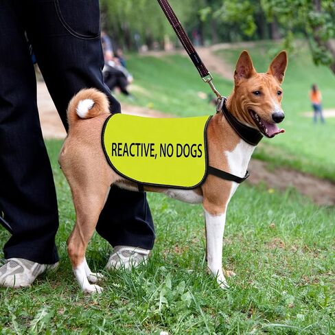Reactive Dog Jacket Vest Reactive No Dogs Dog Slogan Vest Social Distancing Gift (Reactive No Dogs-Medium) in Saudi Arabia