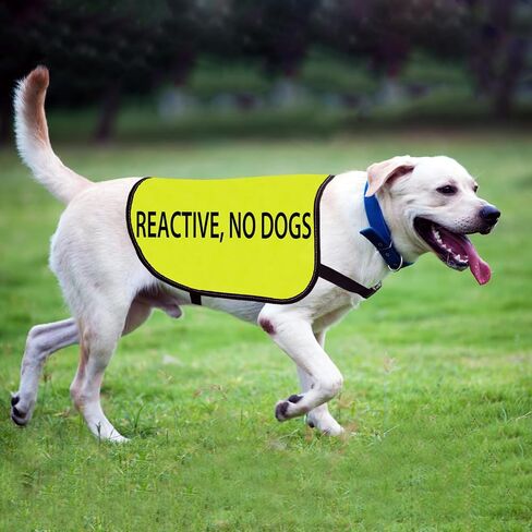 Reactive Dog Jacket Vest Reactive No Dogs Dog Slogan Vest Social Distancing Gift (Reactive No Dogs-Medium) in Saudi Arabia