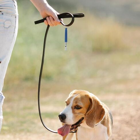 Mipcase Dog Whistle, Dog Whistle to Stop Barking Neighbors Dog Adjustable Dog Whistle for Dog Training in Saudi Arabia