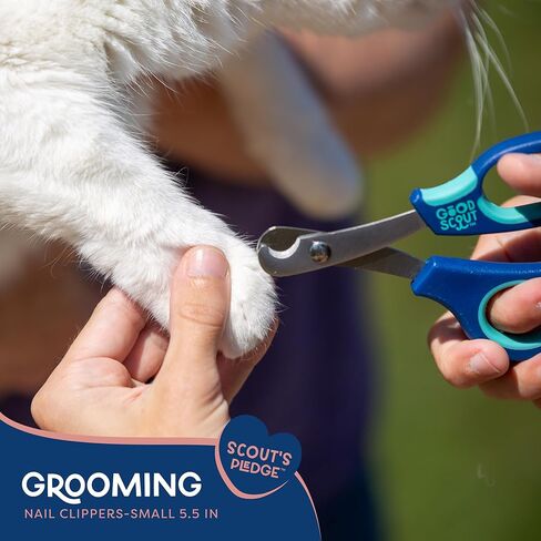 مقص أظافر الحيوانات الأليفة الكبيرة من Good Scout، أفضل أدوات تشذيب أظافر الكلاب وأظافر القطط، مقص أظافر الكلاب بمقبض غير قابل للانزلاق مع شفرات قوية من الفولاذ المقاوم للصدأ لتقليم الأظافر بسرعة وسهولة، مقاس 6.5 بوصة in Kuwait