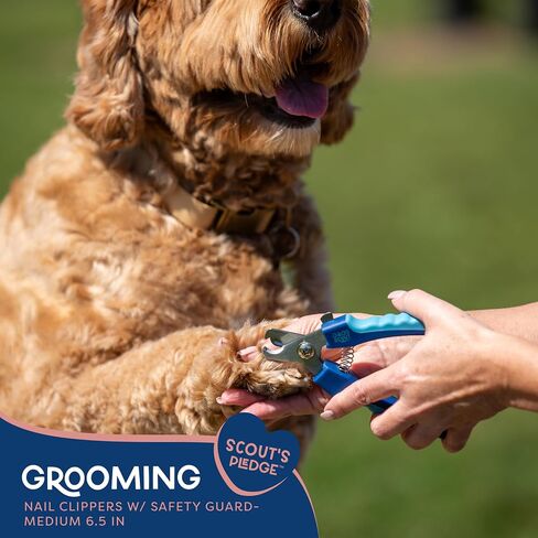 Good Scout Small Pet Nail Clippers, Best Dog Nail Trimmers & Cat Nail Trimmers, Non-Slip Handle Canine Nail Clippers with Stainless Steel Strong Blades for Quick & Easy Nail Trimming, 4.9-Inch in Saudi Arabia