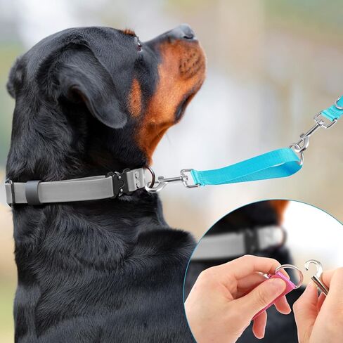 2Pcs Short Dog Traffic Leash, Dog Leash for Small Dogs Short Nylon Dog Leash for Training Control Short Dog Leash Pet Leashes for Medium Dogs(Black) in Saudi Arabia