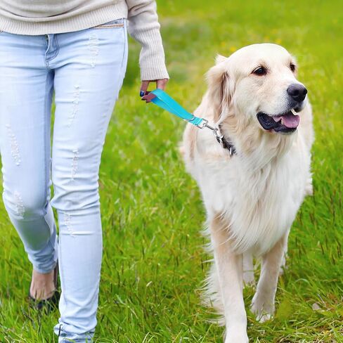 2Pcs Short Dog Traffic Leash, Dog Leash for Small Dogs Short Nylon Dog Leash for Training Control Short Dog Leash Pet Leashes for Medium Dogs(Black) in Saudi Arabia
