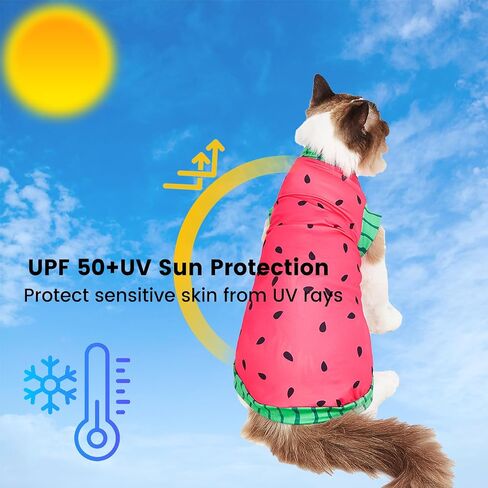 Sphynx Cat Watermelon Shirt &Sun Hat for Summer, Cooling Breathable UPF 50+ Shirt for Cats & Small Dogs Apparel, Shirt and Hat Set for Cats (M (3.5-5.5lbs)) in Kuwait