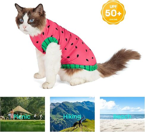 Sphynx Cat Watermelon Shirt &Sun Hat for Summer, Cooling Breathable UPF 50+ Shirt for Cats & Small Dogs Apparel, Shirt and Hat Set for Cats (M (3.5-5.5lbs)) in Kuwait