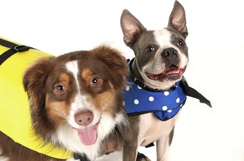 Seachoice Dog Life Vest, Adjustable Life Jacket for Dogs, w/Grab Handle, Yellow, Size Large, 50-90 Lbs. in Saudi Arabia