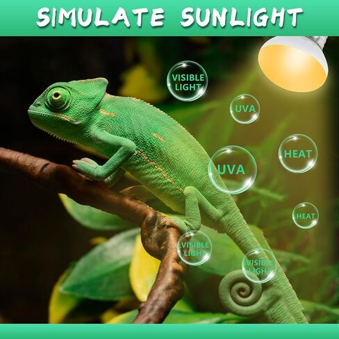 LUCKY HERP Heat Lamp Bulbs, 25W Reptile Heat Lamp 2 Pack Reptile Heat Lamp Bulbs, Daylight Basking Spot Heat Light Bulb, Amphibians Heat Lamp Bulbs for Reptile, Chameleons, Snakes, Lizard, Turtle in Saudi Arabia