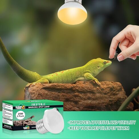 LUCKY HERP Heat Lamp Bulbs, 25W Reptile Heat Lamp 2 Pack Reptile Heat Lamp Bulbs, Daylight Basking Spot Heat Light Bulb, Amphibians Heat Lamp Bulbs for Reptile, Chameleons, Snakes, Lizard, Turtle in Saudi Arabia