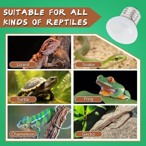 LUCKY HERP Heat Lamp Bulbs, 25W Reptile Heat Lamp 2 Pack Reptile Heat Lamp Bulbs, Daylight Basking Spot Heat Light Bulb, Amphibians Heat Lamp Bulbs for Reptile, Chameleons, Snakes, Lizard, Turtle in Saudi Arabia