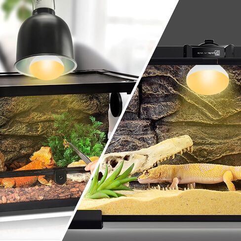 LUCKY HERP Heat Lamp Bulbs, 25W Reptile Heat Lamp 2 Pack Reptile Heat Lamp Bulbs, Daylight Basking Spot Heat Light Bulb, Amphibians Heat Lamp Bulbs for Reptile, Chameleons, Snakes, Lizard, Turtle in Saudi Arabia
