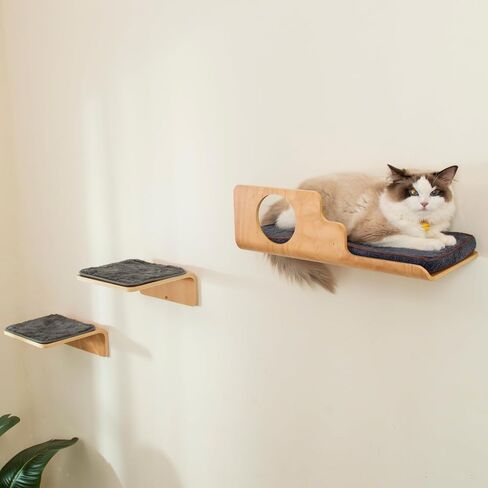 Cat Wall Shelves, Creative Design Cat Shelf with Peephole, 19 x 10 inch Cat Wall Furniture with Comfortable Cat Pad, Cat Perch for Sleeping, Playing, and Scratching. in Saudi Arabia
