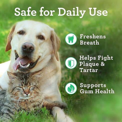 مناديل دكتور جوزيف فيتبرو المتقدمة لأسنان الكلاب، 50 قطعة، منظف أسنان سهل للكلاب والقطط مع النعناع والنعناع، ​​ينعش التنفس، ويقلل من الجير in Kuwait