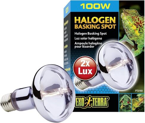 Exo Terra Sun Glo Halogen Daylight Lamp, GU-10 Reptile Light Bulb, 35 Watts, PT2180A1 in Saudi Arabia