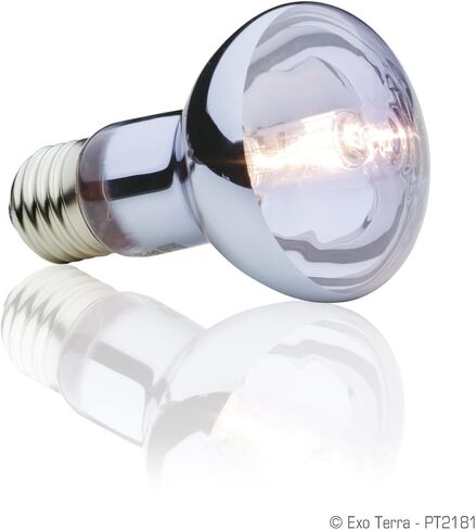 Exo Terra Sun Glo Halogen Daylight Lamp, GU-10 Reptile Light Bulb, 35 Watts, PT2180A1 in Saudi Arabia
