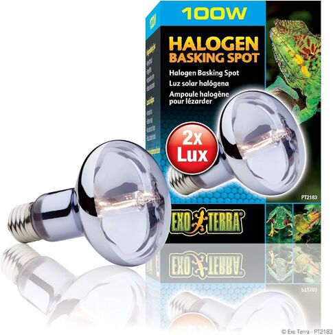 Exo Terra Sun Glo Halogen Daylight Lamp, GU-10 Reptile Light Bulb, 35 Watts, PT2180A1 in Saudi Arabia
