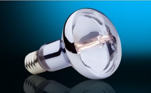 Exo Terra Sun Glo Halogen Daylight Lamp, GU-10 Reptile Light Bulb, 35 Watts, PT2180A1 in Saudi Arabia