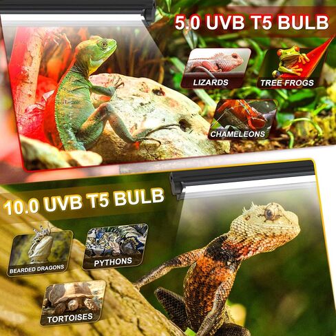 غطاء مصباح الزواحف T5 HO UVB 4 وات، غطاء مصباح الزواحف مع أنبوب مصباح UVB 5.0، مناسب لزواحف الغابات المطيرة (4 وات - 7 بوصات) in Kuwait