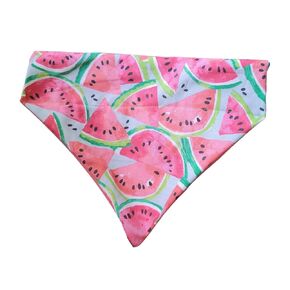 Watermelon Over the Collar Dog Bandana That Slips onto Their Existing Collar Size (X-Large)
