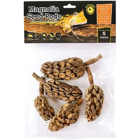 كبسولات بذور غالاباغوس ماجنوليا مرابي حيوانات طبيعية نشطة بيولوجيًا توفر المأوى والغذاء للحيوانات الدقيقة 2-4 بوصات 5pk