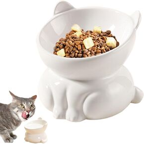 Elevated Cat Bowls, 15° Tilted Raised Cat Food Bowl Anti-Vomiting,Whisker Friendly, Cat Dishes for Protecting Spine (Black)
