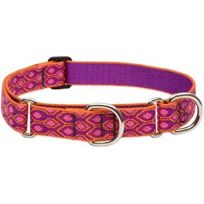 LupinePet Originals 1" Alpen Glow 15-22" Martingale Collar for Medium and Larger Dogs