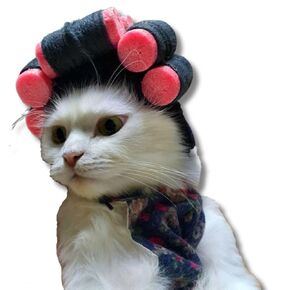 Cat Wig Funny Cute Cat Costume Hat Hair Roller Accessories Dress Up Clothing Festival Party (Bun)