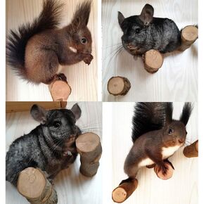 QBLEEV 3 PCS Hamster Chew Toys for Teeth, Chinchilla Cage Accessories Supplies, Guinea Pigs Natural Wood Chews Sticks for Rat Squirrels, Rabbits Perch Toys Birds Standing Platform for Parrot Bunny