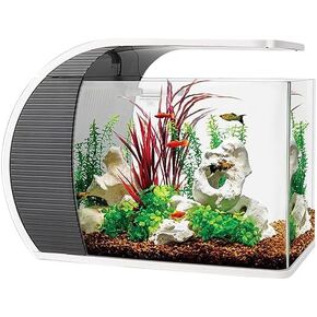 5 Gallon Fish Tank - Arc-Shaped Glass Fish Tank w/LED Lights - Fish Tank Kit w/Filter, Water Pump, Bag of Filter Media & More - Beautiful Aquarium Set for Office & Home - Easy Assembly Starter Kit