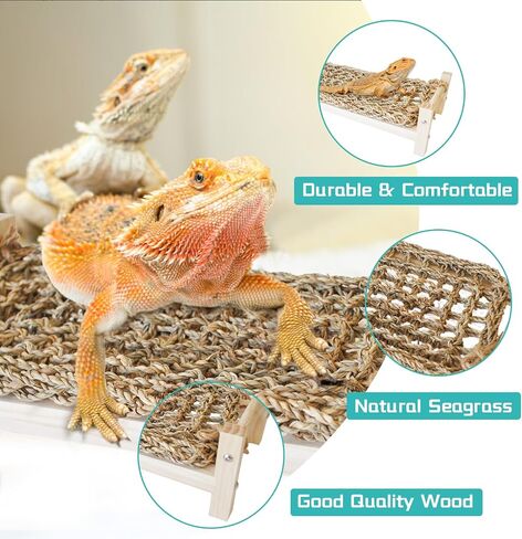 Bearded Dragon Lounger for Rest,Reptile Hammock Swing Hanging Bed Wooden Lizard Bed with Jungle Climbing Vines Habitat Tank Decor for Lizards Chameleon Leopard Gecko Small Animal(3PCS) in Saudi Arabia